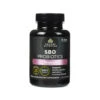 Ancient Nutrition SBO Probiotics Women's Once Daily Capsules