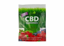 Irwin Naturals CBD Gummies Mixed Berry – 15mg