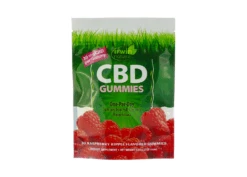 Irwin Naturals CBD Gummies Raspberry Ripple - 30 Mg