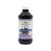 Nature's Way Sambucus Kids Syrup