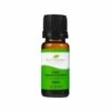 Plant Therapy Lime Essential Oil (Steam Distilled)