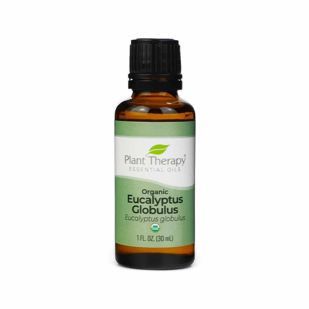 Plant Therapy Organic Eucalyptus Globulus Essential Oil - Image 3