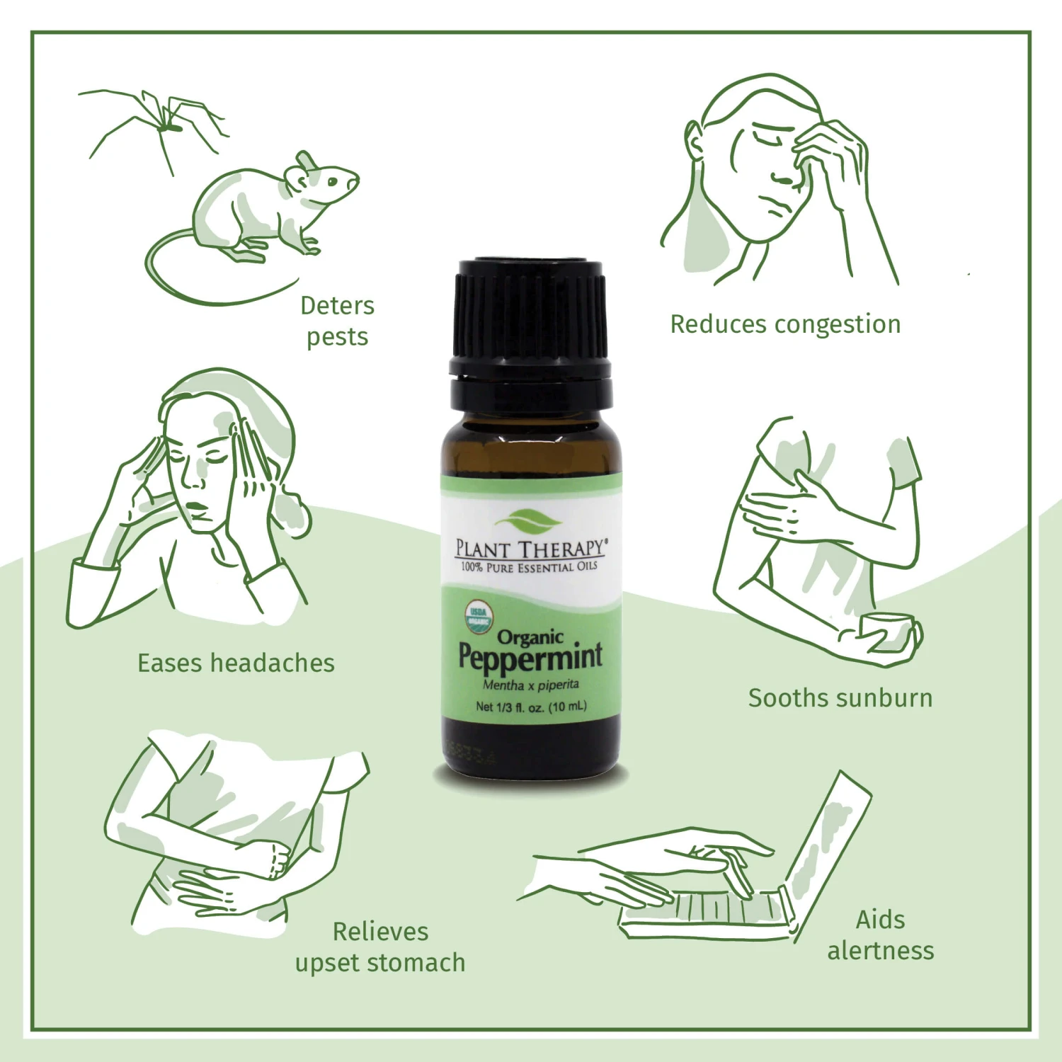 Plant Therapy Organic Peppermint Essential Oil - Image 2